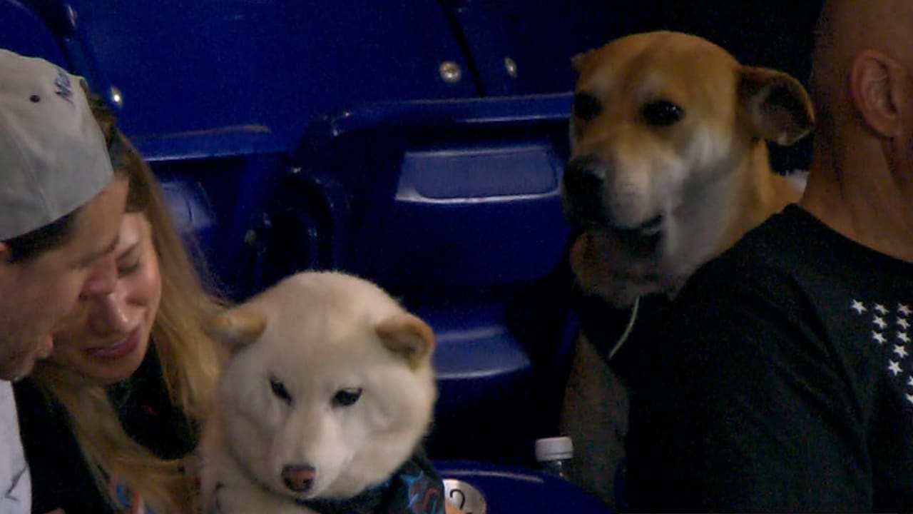 Jonah the cunucu at Marlins Bark at the Park