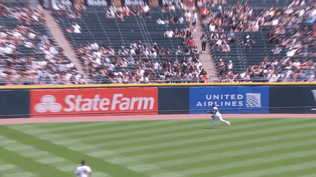 An animated GIF of Luis Robert Jr. making a sliding catch