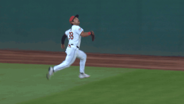 An animated gif of Steven Kwan making a running catch before crashing into the wall