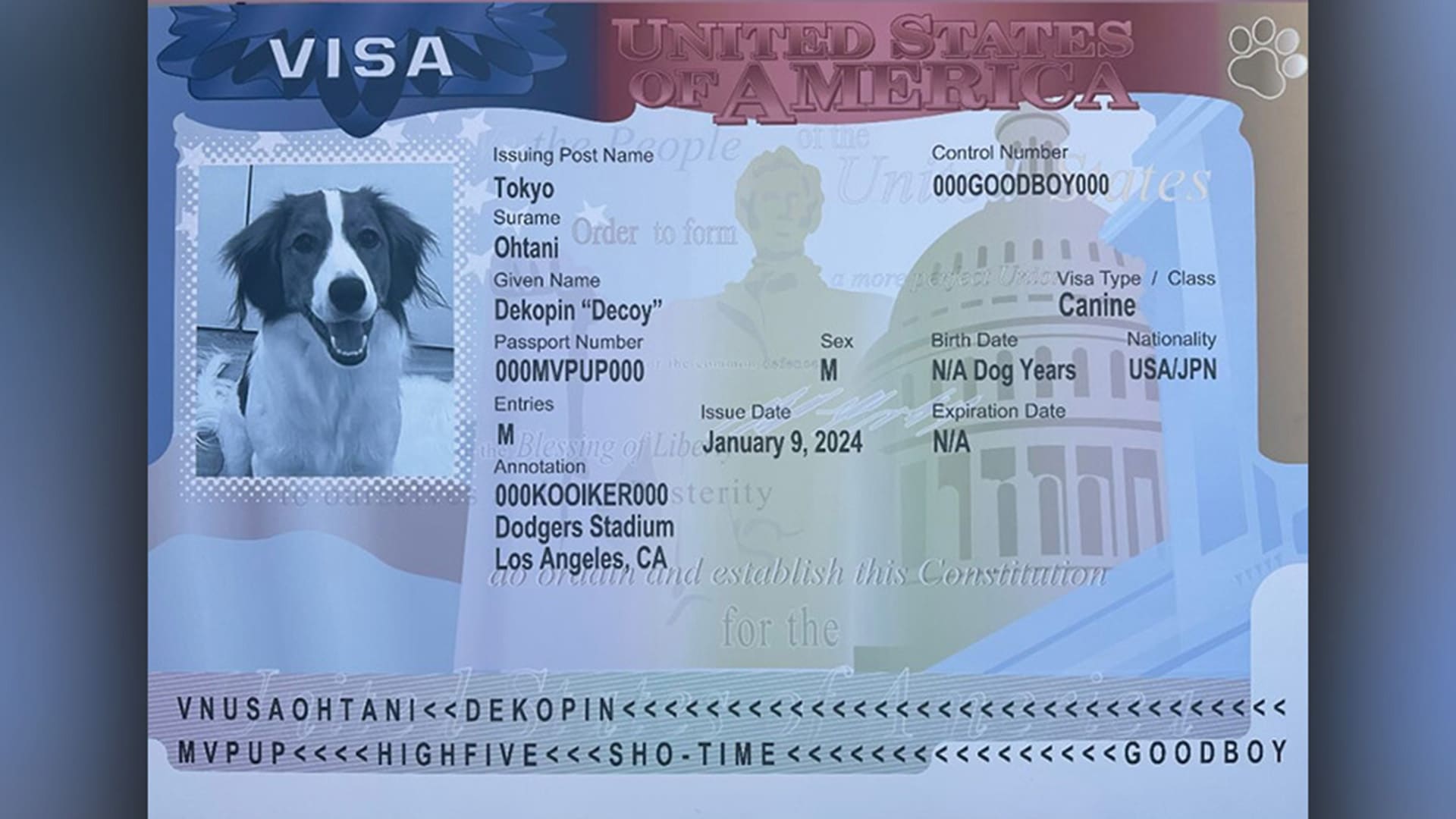 A visa picturing Shohei Ohtani's dog