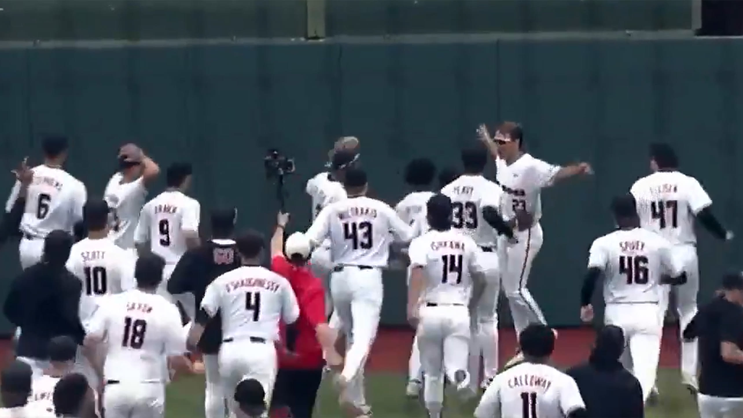 The University of Georgia baseball team celebrates on the warning track
