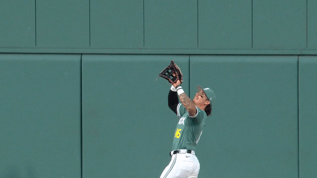 An animated gif of Jarren Duran making a leaping catch and slamming into the outfield wall