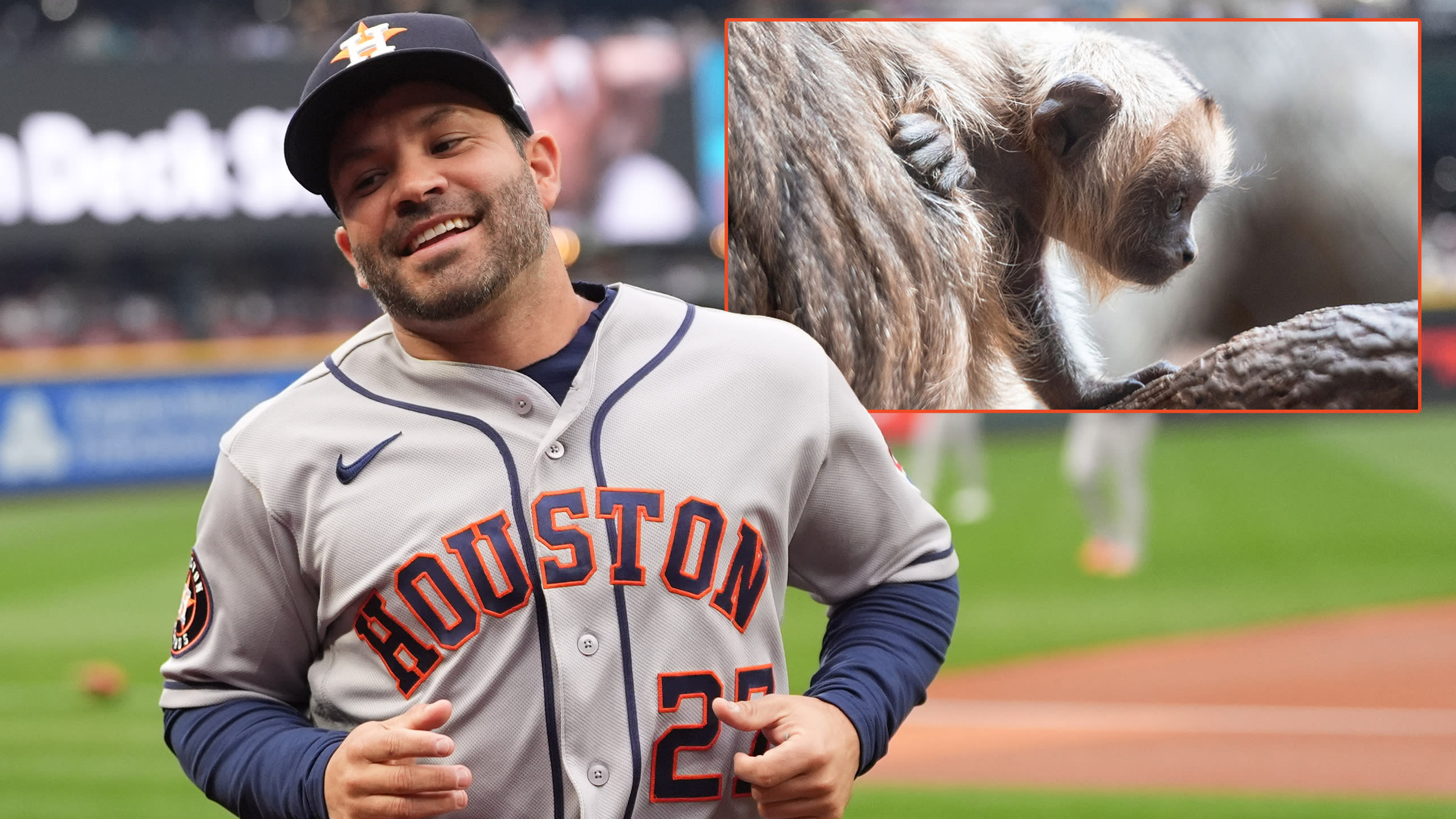 The Astros' Jose Altuve with an inset photo of a howler monkey named after him