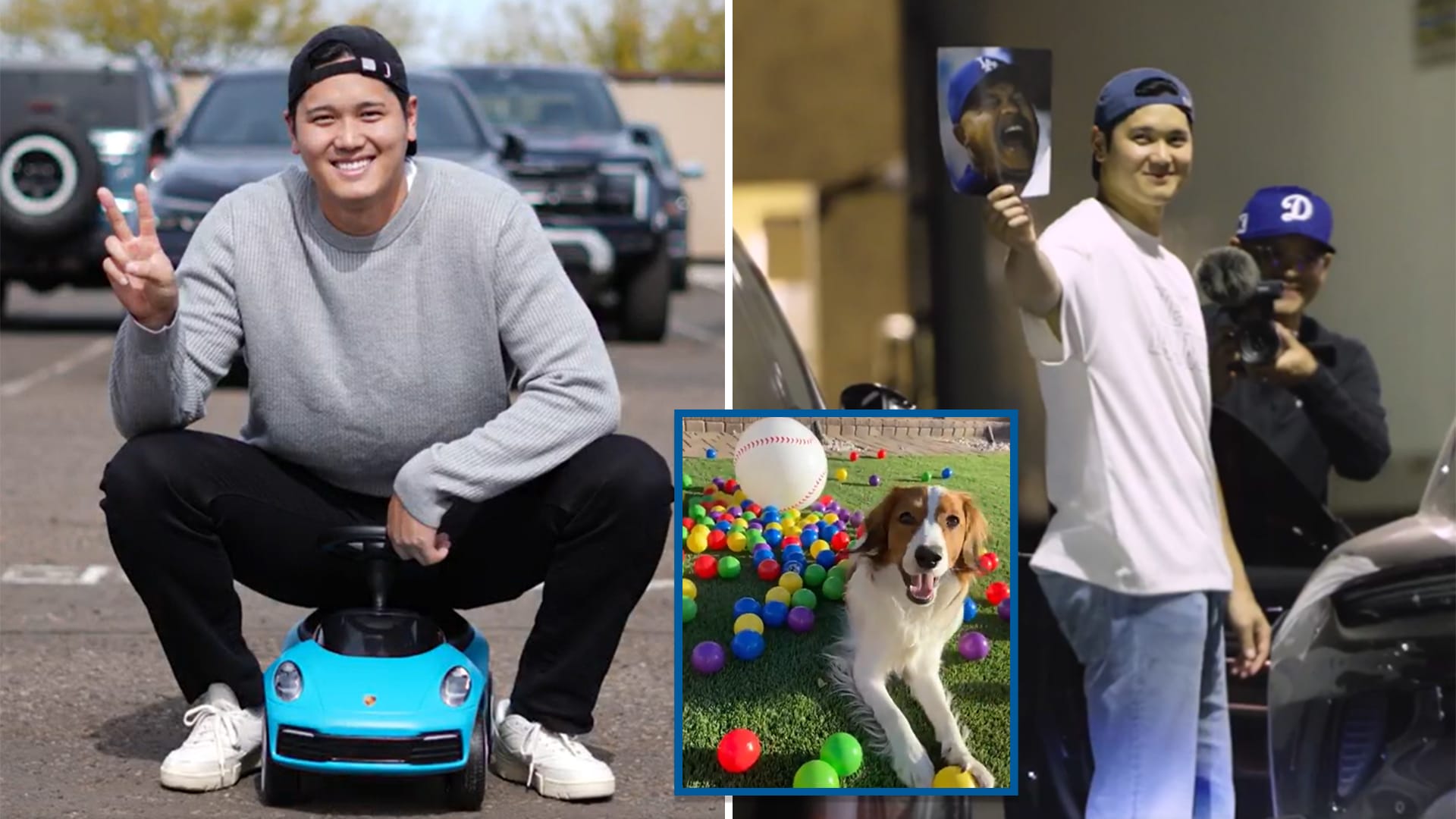 Two photos of Shohei Ohtani and one of his dog Decoy