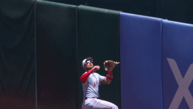 Kevin Pillar goes over the wall to bring back a home run