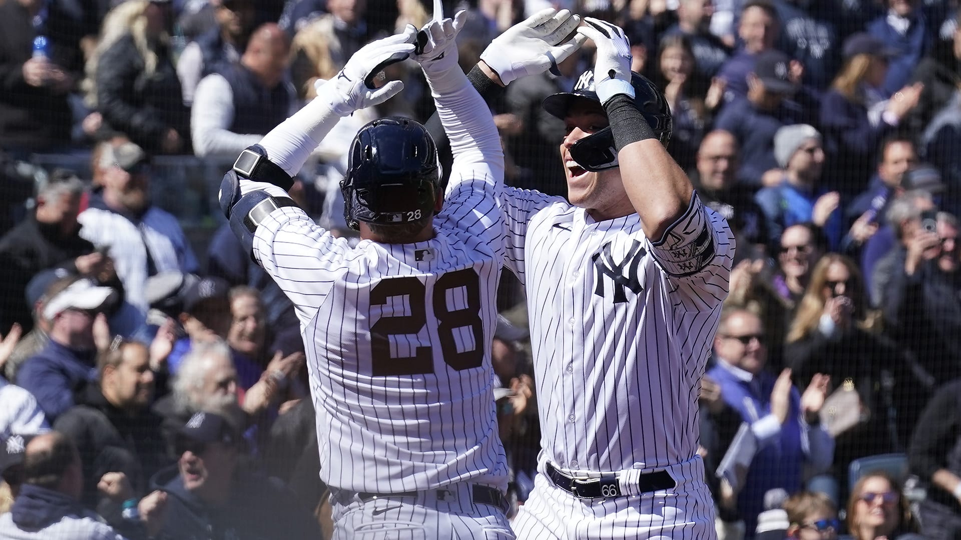 Aaron Judge
