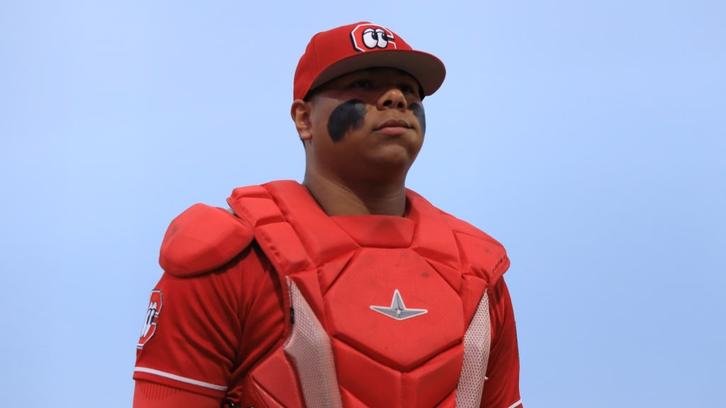MLB.com editorial image for Cincinnati Reds: Reds' top prospect Alfredo Duno doesn't look worse for wear in return...