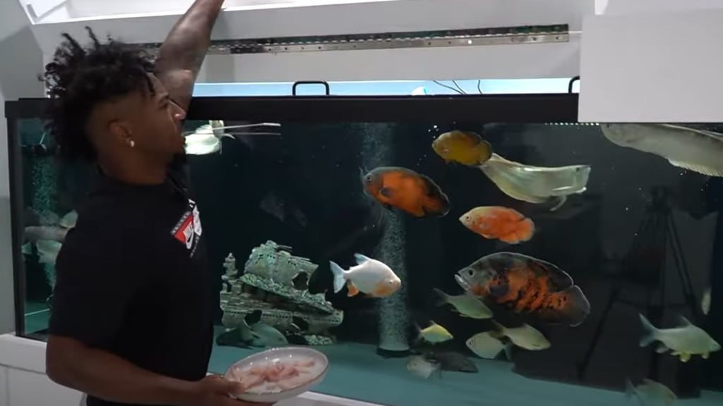 Ozzie Albies has huge aquariums at his house