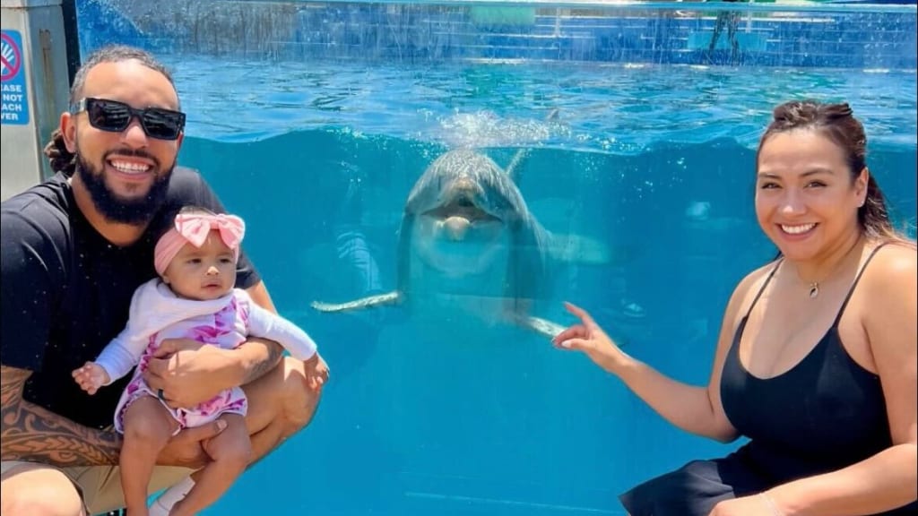 J.P. Crawford and his family meet a dolphin at SeaWorld (via Crawford on Instagram)