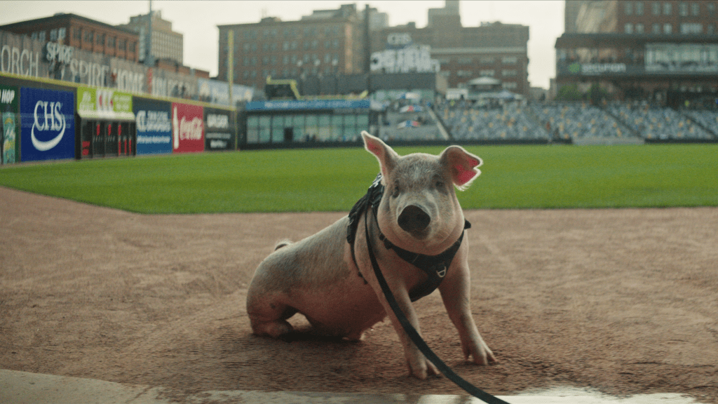 Mike Veeck's story of family and baseball the subject of new doc