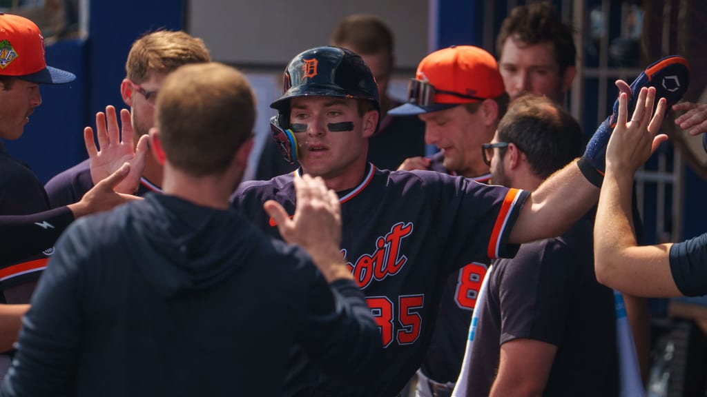 McGonigle showing why Tigers 'love him' early in spring