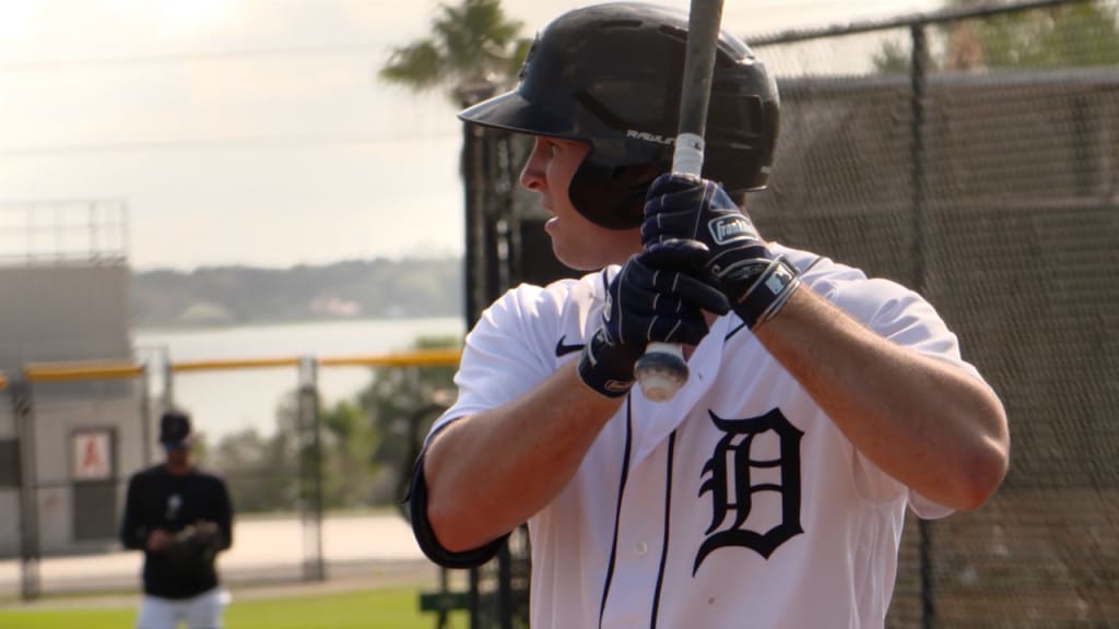 Detroit Tigers Positional Overview: Catchers (Part 1)