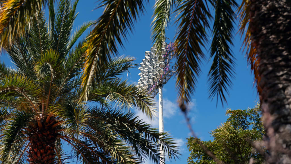 Spring Training in its current iteration is more associated with the palm trees of Florida (Getty Images)