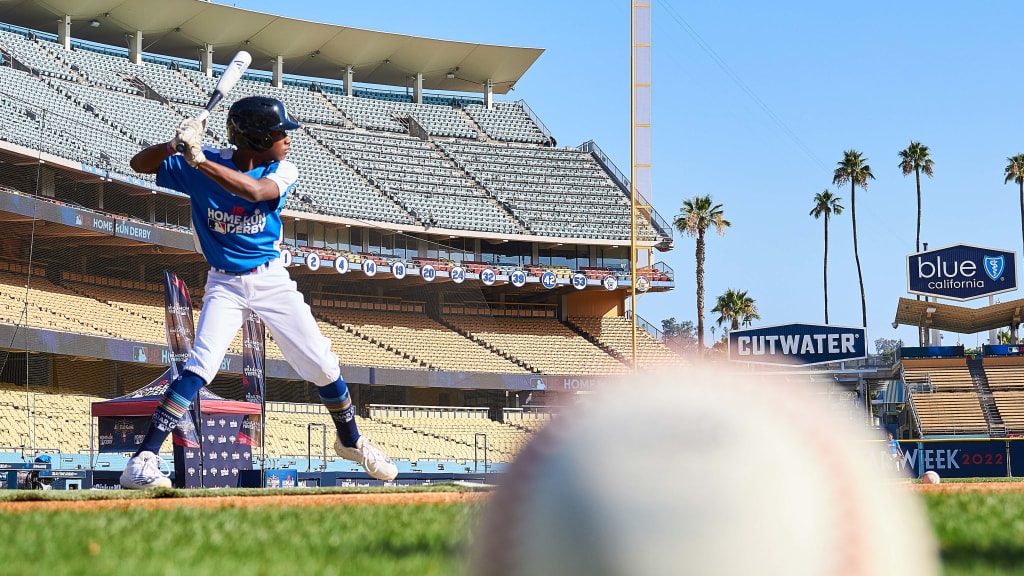 MLB Junior Home Run Derby