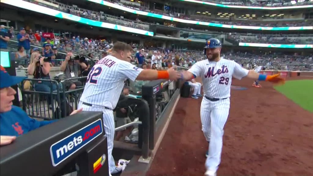 Baseball fan falls onto Citi Field during Mets vs. Giants game