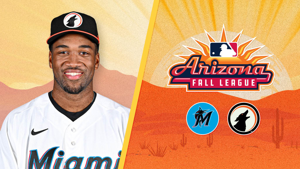 MLB.com editorial image for Miami Marlins: Marlins' Fall League contingent led by dynamic 20-20 threat acquired...