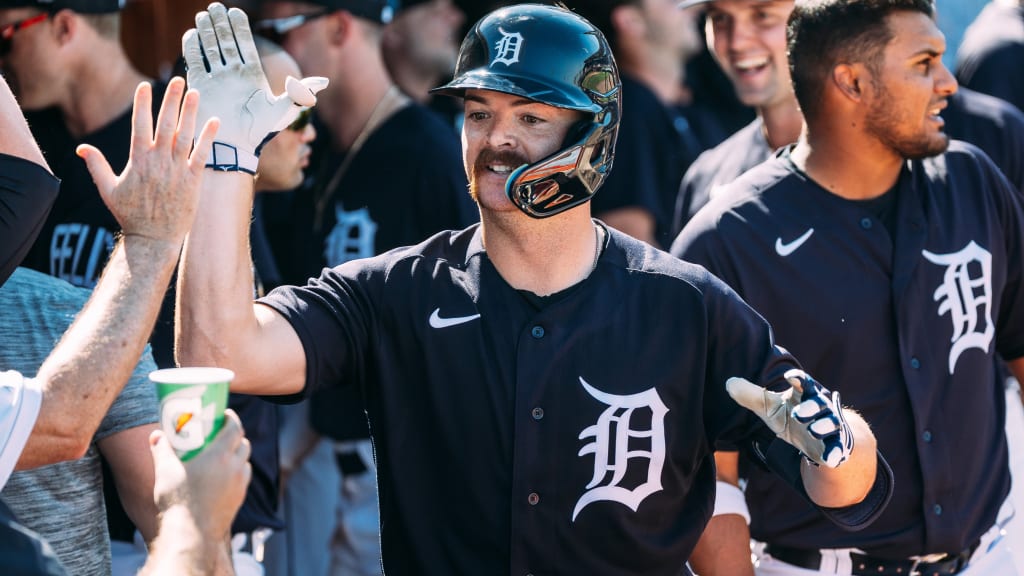 Examining The Tigers' Options Behind The Plate - MLB Trade Rumors