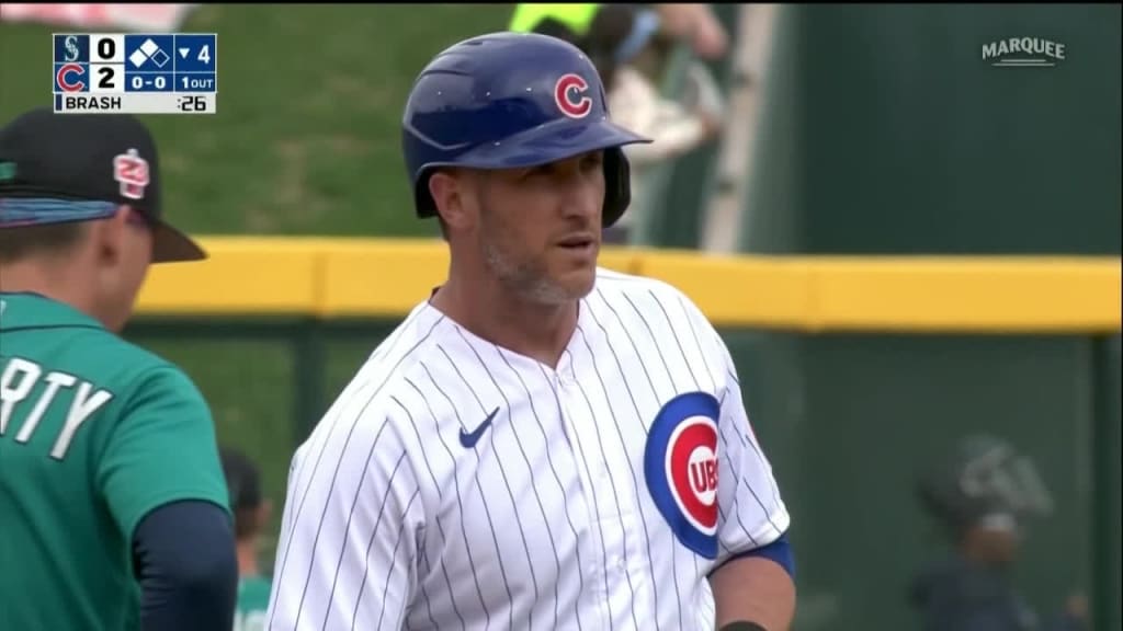 Yan Gomes is a cornerstone of the 2023 Chicago Cubs