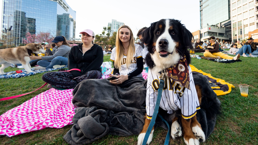 Theme Game Bark at the Park San Diego Padres