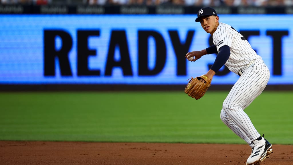 (Photo Credit: New York Yankees)