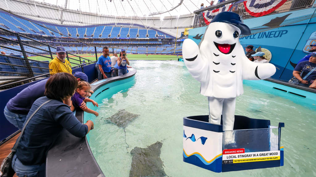 The first 10,000 fans on Saturday will receive a free Flappy Boi T-shirt and a voucher for a free game Sept. 15-17, when they can claim their Flappy Boi bobblehead.