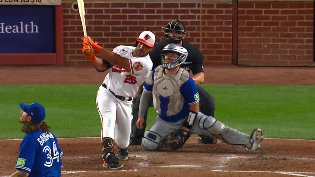 What Happens If a Baseball Player Hits an Umpire Game Changer?