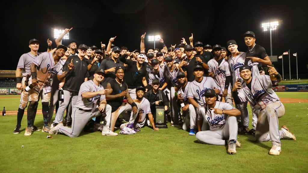 The Hammerheads are champs for the first time in their existence, dating back to 1998.