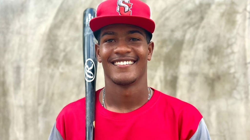 Leonardo Pineda (MiLB.com)