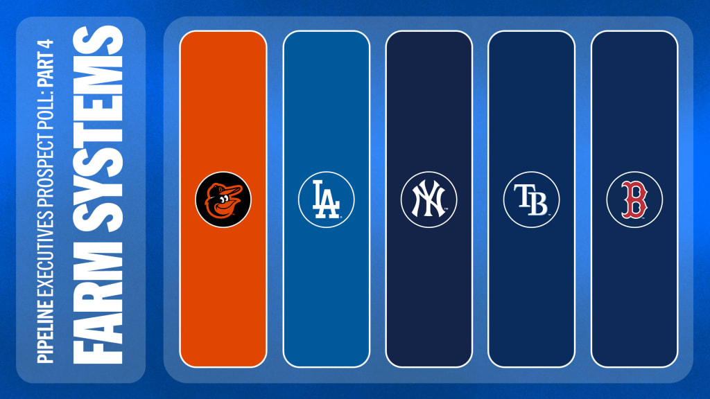 Baseball Farm System Rankings 2024 darell hollyanne