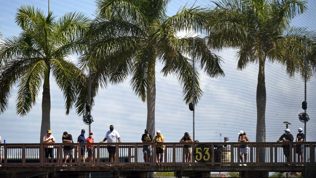 A 19,000-square-foot outfield boardwalk was unveiled at the Pirates' Spring Training home in 2013.