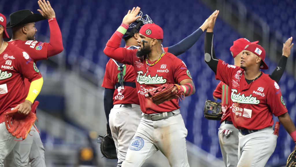 Allen Cordoba, center, high-fives his teammates following Panama's 7-3 victory over Curaçao. (AP/Lynne Sladky)