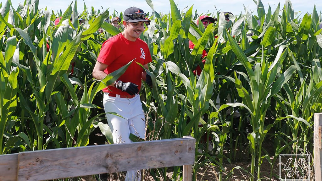There haven't been any baseball ghost sightings ... yet (Photo: Laurent Jannès)