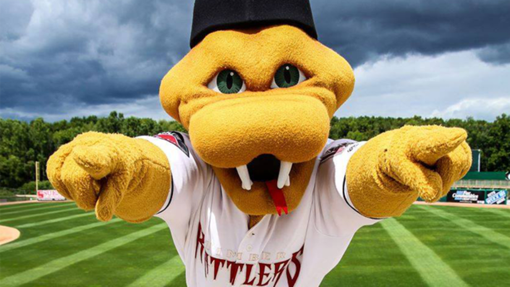 Vote for D-Jay as the Best Minor League Baseball Mascot!