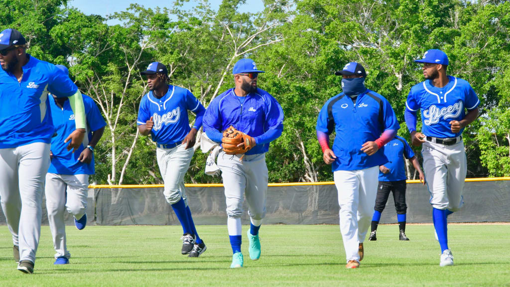 Licey best sale baseball jersey