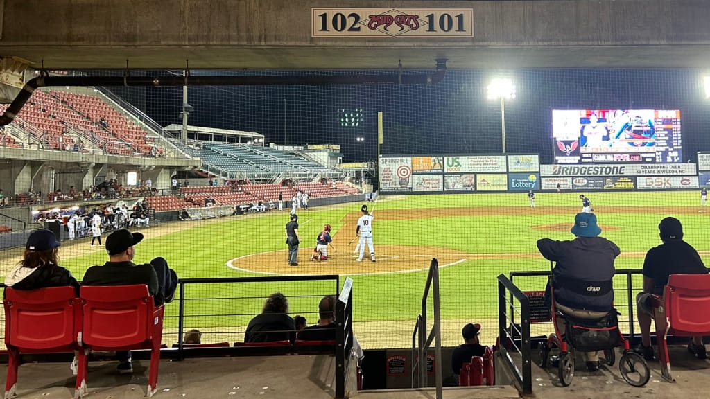 As sun sets on Mudcats, Wilson Warbirds wait in the wings