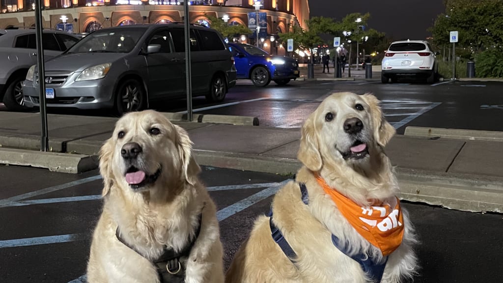 Francisco Lindor home run ball snagged by dog in the stands