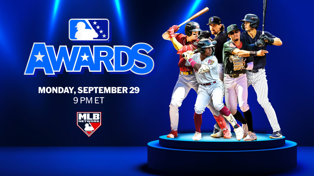 Tune into the 3rd annual MiLB Awards Show on September 29