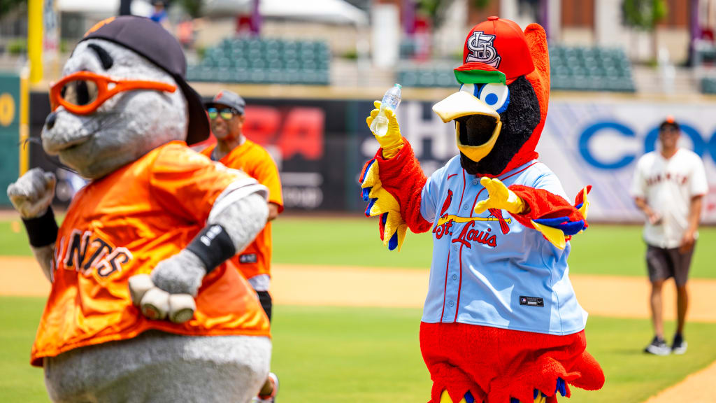 Lou Seal and Fredbird helped bring the fun to the Play Ball event.