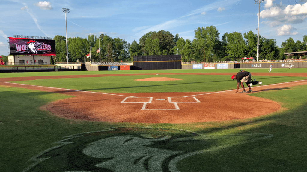 Houston Astros Minor League ballparks