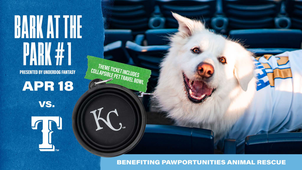 Bark at the Park Kansas City Royals