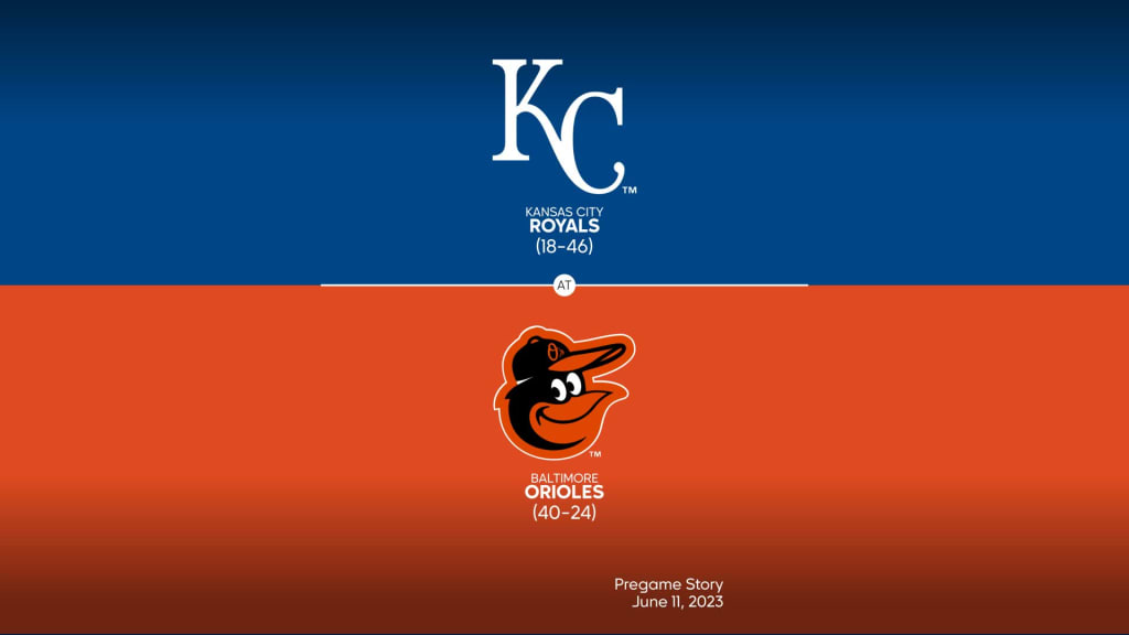 MLB - Kansas City Royals Blue Gold Yardage