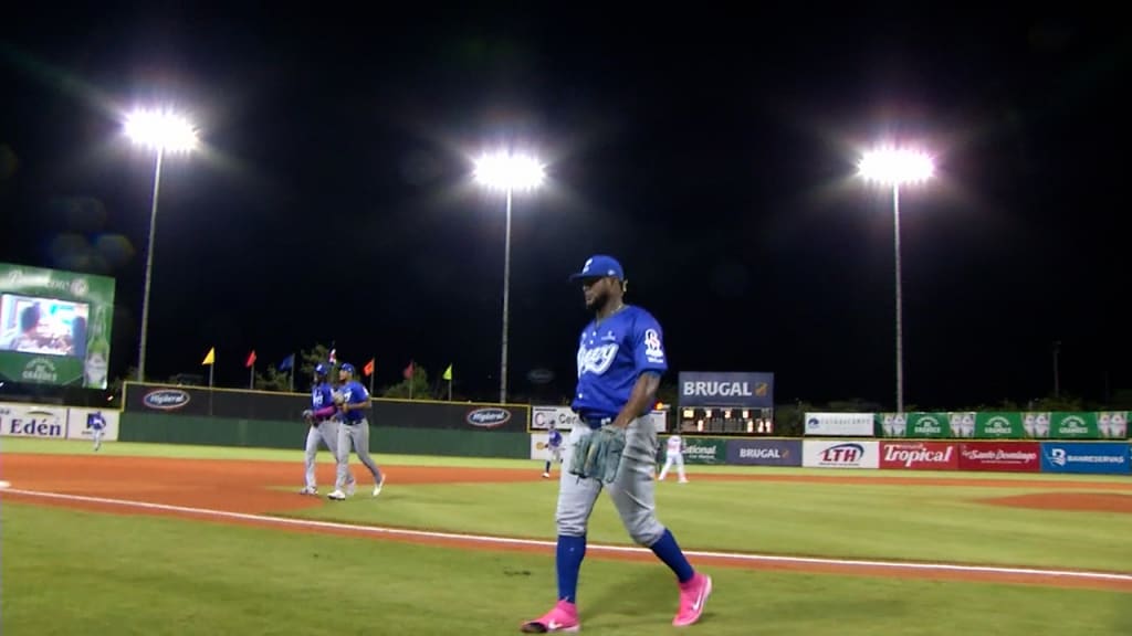 Peligro Sports Dominican Baseball Team - Licey - Hall of Fame Jersey