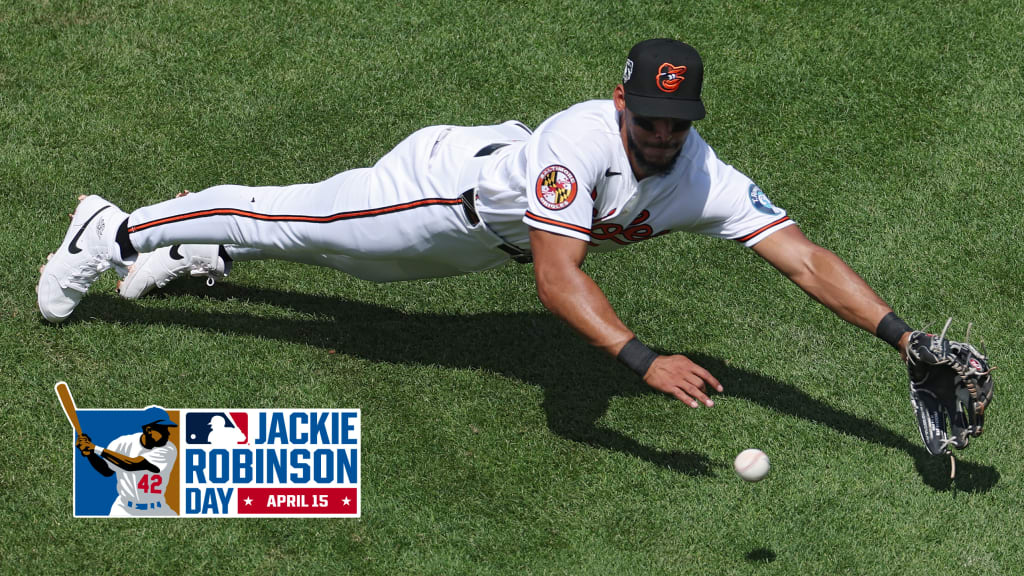 LIVE: Hot Bird stopping and bopping