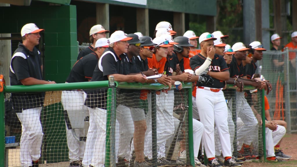 Jamey Shouppe (on left on the fence) has led FAMU to three regionals appearances.