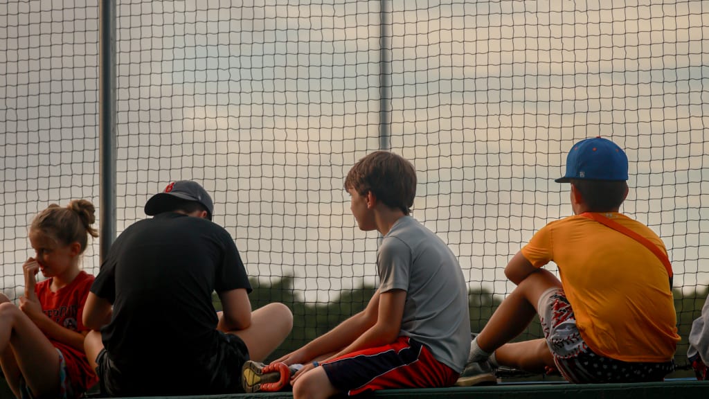 A group of kids take in a Cape Cod Baseball League game from atop a dugout. (Photo courtesy the Cape Cod Baseball League)