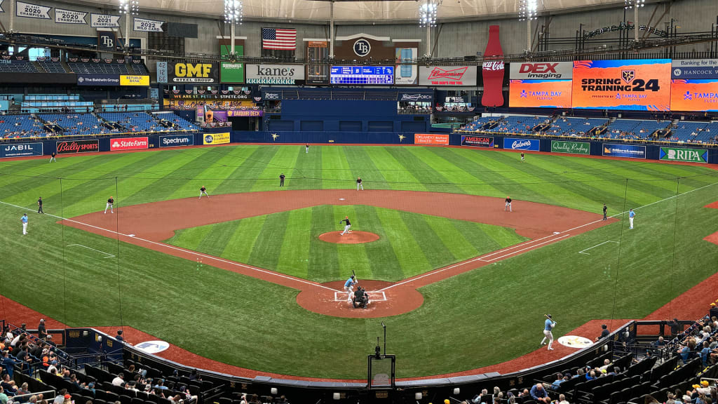 Rays players react to new Tropicana Field turf