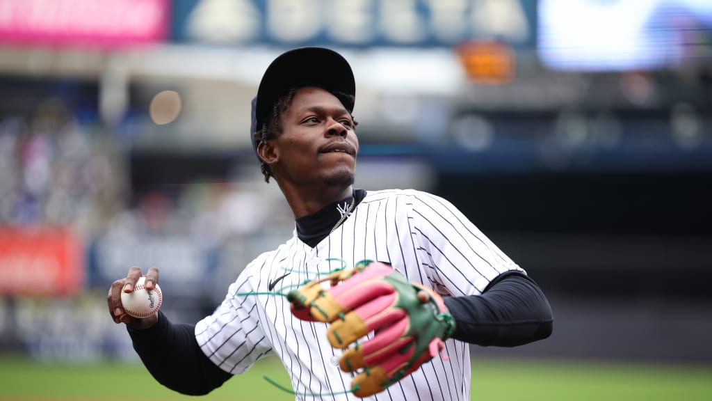 (Photo Credit: New York Yankees)