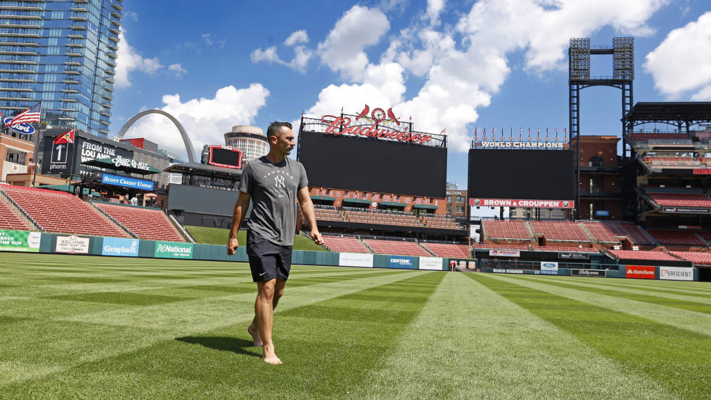 A new detail in the outfield on a crisp, sunny day at Busch