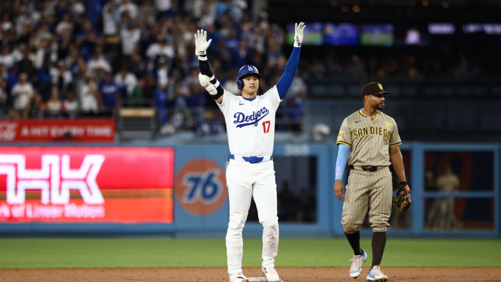 Shohei Ohtani Dodgers 硬式ボール 17番 大谷翔平 LA ドジャース 青と白 野球ボール 青の縫糸 背番号17