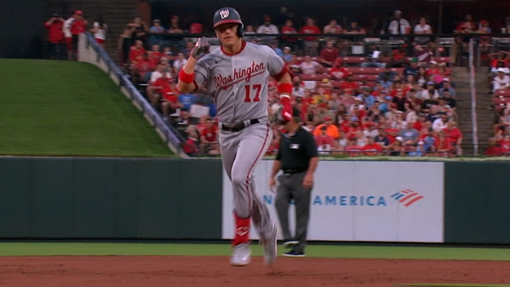 Series opener between Nationals and Cardinals suspended in the 3rd inning  due to rain